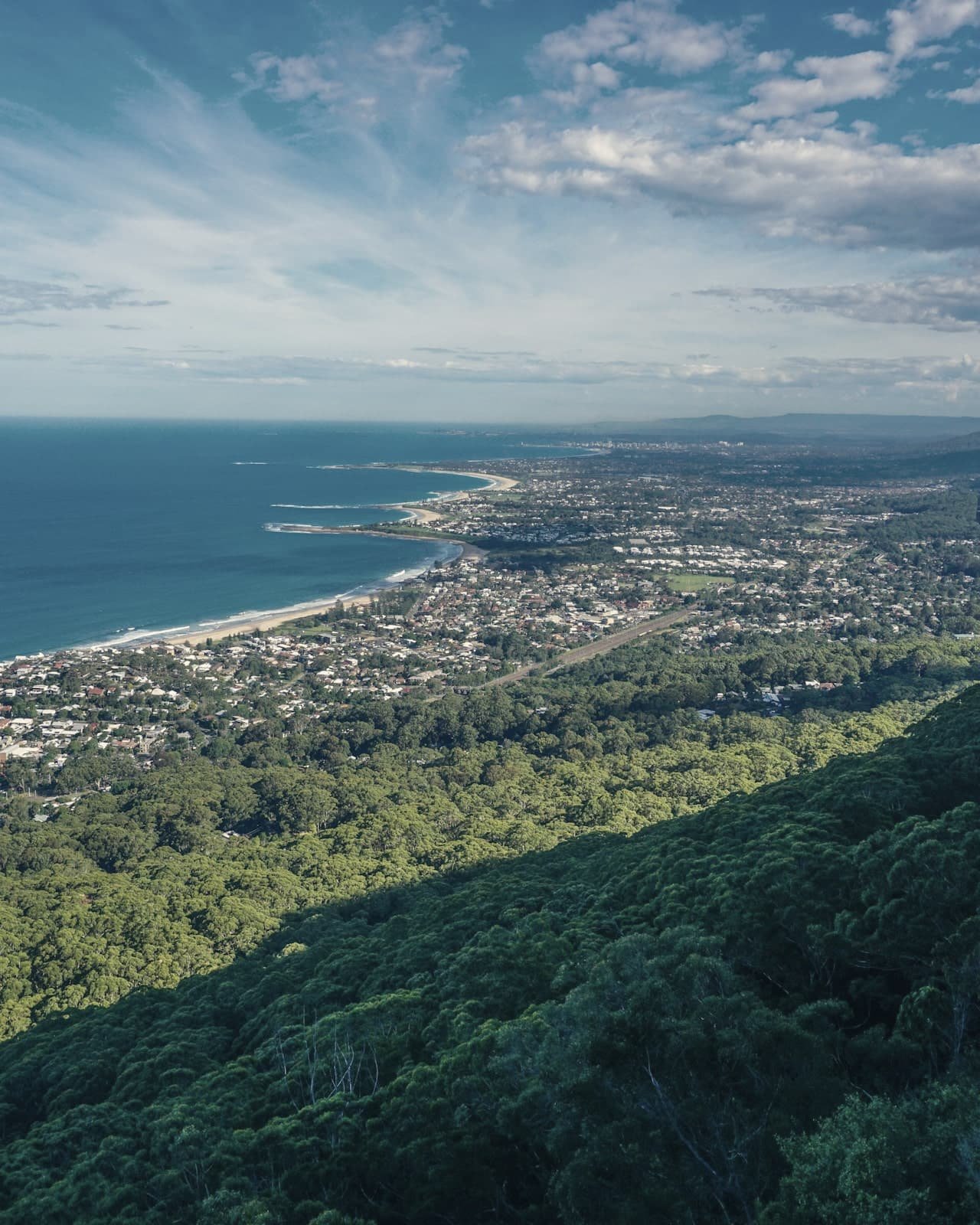 The forested Illawarra escarpment falling to the coast, with the suburbs of Wollongong’s northern beaches along the sea below.
